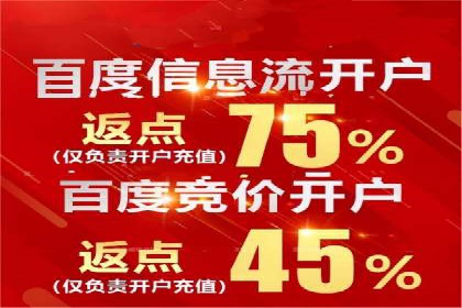 大数据分析在竞价广告中的应用